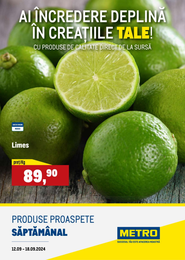 Metro catalog cu reduceri 12 19 septembrie 2024
