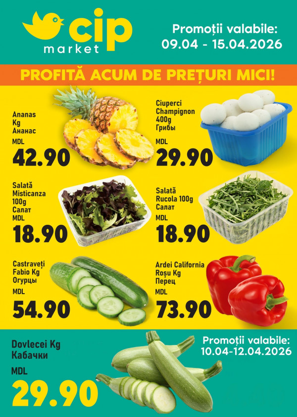 Специальное предложение