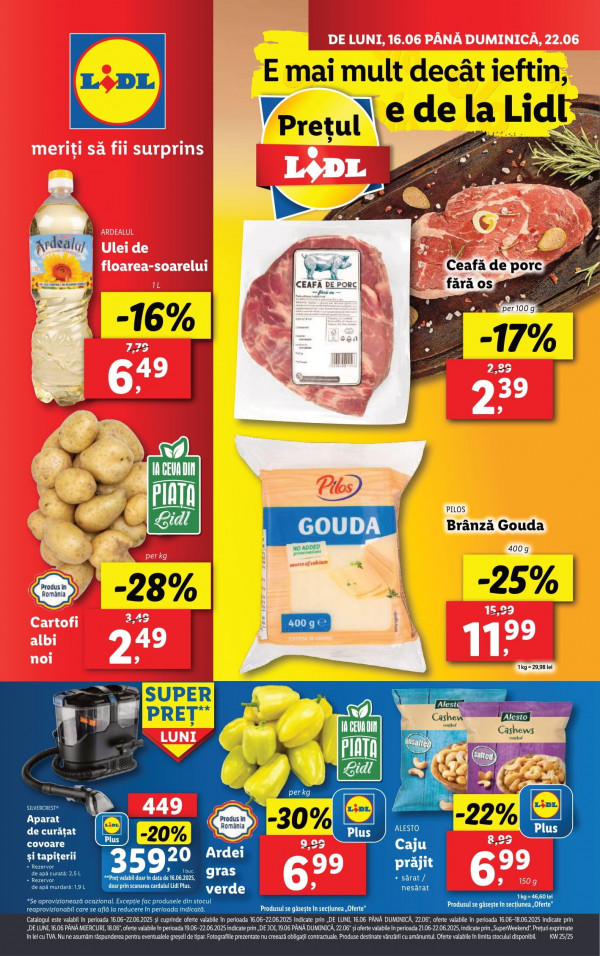Lidl catalog cu reduceri
