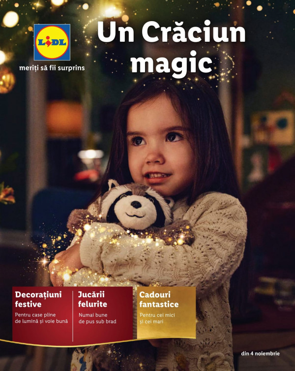 Lidl catalog cu reduceri