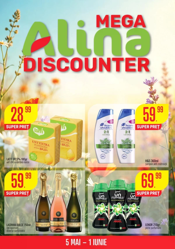 Mega Alina Discounter