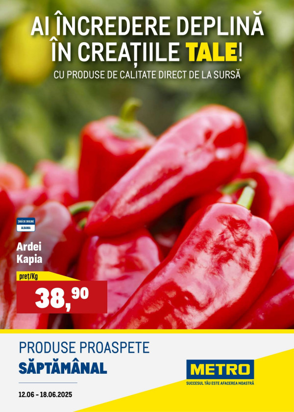 Metro catalog cu reduceri